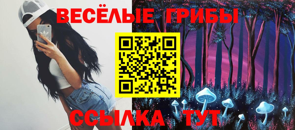 Галлюциногенные грибы Magic Shrooms  закладка  Анжеро-Судженск  Вход с VPN 